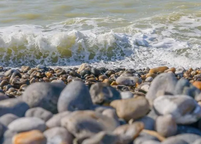 A Deux Pas Et Falaises Appartement Mers-les-Bains